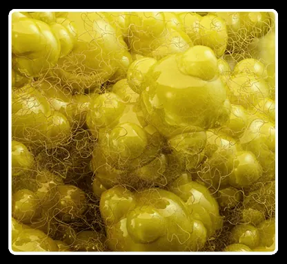 Chromium ingredient placeholder image