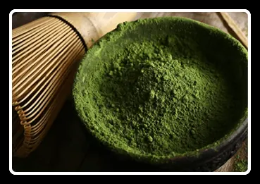 Green tea extract ingredient shown as a green powder