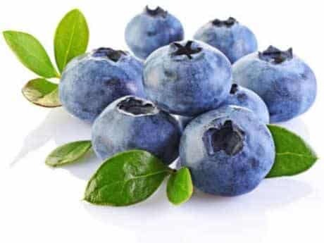 Fresh bilberries — antioxidant ingredient in iGenics