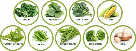 Lutein-rich foods including kale, spinach and broccoli