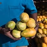 African mango fruits