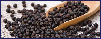 Black peppercorns — source of Bioperine