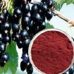 Black currants and powder