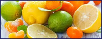 Fresh citrus fruits — source of pectin
