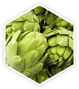 Fresh artichokes
