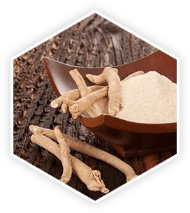 Ashwagandha root and powder