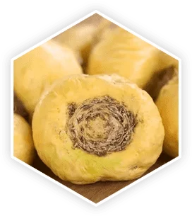 Maca root tubers